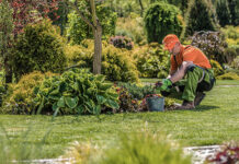 10 raisons pour lesquelles vous devez embaucher un paysagiste paysagiste professionnel pour jardin