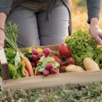 Comment soutenir les maraicher ? Les différentes manières de soutenir les maraichers