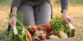 Comment soutenir les maraicher ? Les différentes manières de soutenir les maraichers