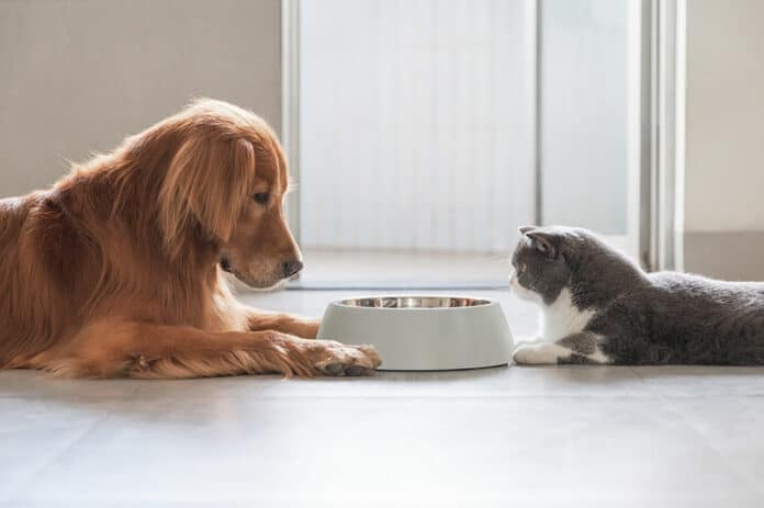 nourriture pour animaux