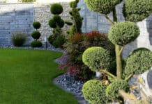 Entretien de jardin: les tâches essentielles pour des jardins florissants Entretien de vos espaces verts au fils des saisons