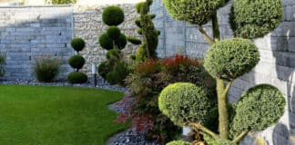 Entretien de jardin: les tâches essentielles pour des jardins florissants Entretien de vos espaces verts au fils des saisons